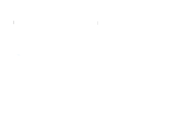 Lemming Swim & Run